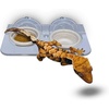 image:imagePangea Acrylic Suction Cup Gecko Feeder Ledge Small for Lizards and Reptiles
