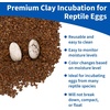 image:imagePangea Hatch Premium Reptile Egg Incubation Substrate 2 lb8 lb