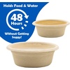 image:imagePangea Large 15oz Paper Crested Gecko Food amp Water Cups 100 ct  Mini Bowls for Reptile Feeding