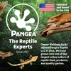 image:imagePangea Microdish Kit for Micro Gecko Feeding 15in x 75inS Surface Mount