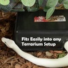 image:imagePangea Reptile Hide Box A  Mini 55x3x15C Medium