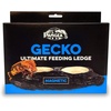 image:imagePangea Ultimate Gecko Ledge  Magnetic Feeder for Crested Geckos