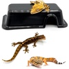 image:imagePangea Reptile Hide Box A  Mini 55x3x15A Mini