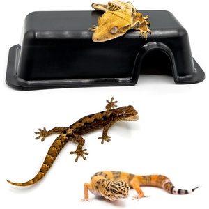 image:imagePangea Reptile Hide Box A  Mini 55x3x15A Mini