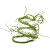 image:imagePangea Reptile Ultimate Vine for Terrarium Habitat GreenGreen