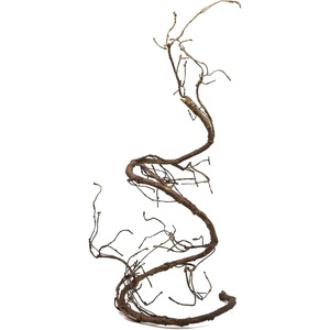 image:imagePangea Reptile Ultimate Vine for Terrarium Habitat GreenBrown