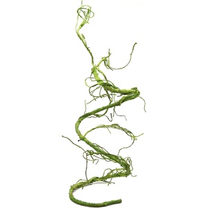 image:imagePangea Reptile Ultimate Vine for Terrarium Habitat GreenGreen