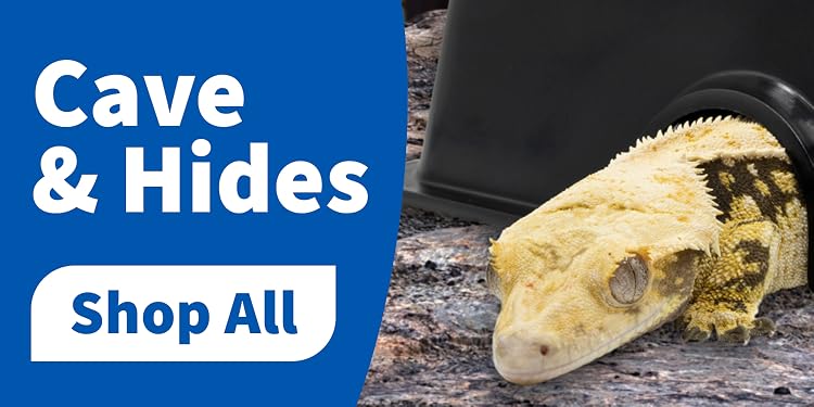 Pangea Reptile | Premium Gecko Diet & Reptile Supplies,Professional Care for Passionate Keepers