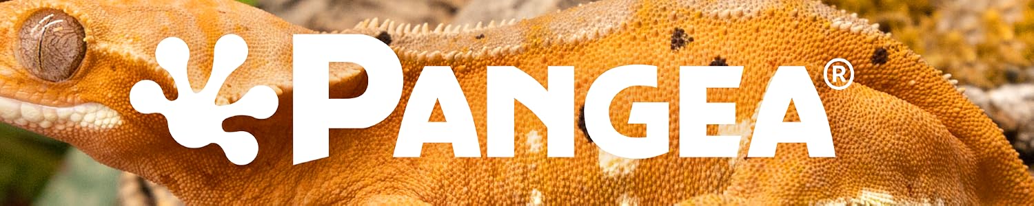 Pangea Reptile | Premium Gecko Diet & Reptile Supplies,Professional Care for Passionate Keepers