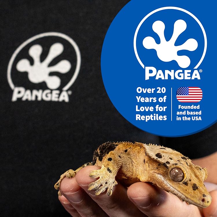 Pangea Reptile | Premium Gecko Diet & Reptile Supplies,Professional Care for Passionate Keepers